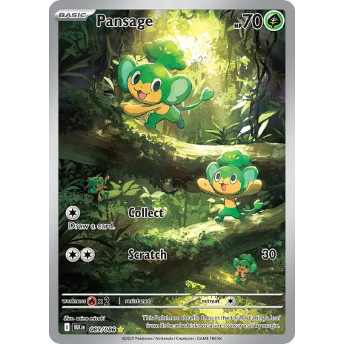 Pansage - BLK 089 - EN