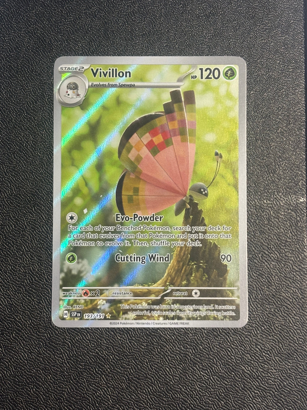 Vivillon - SSP 193 - EN
