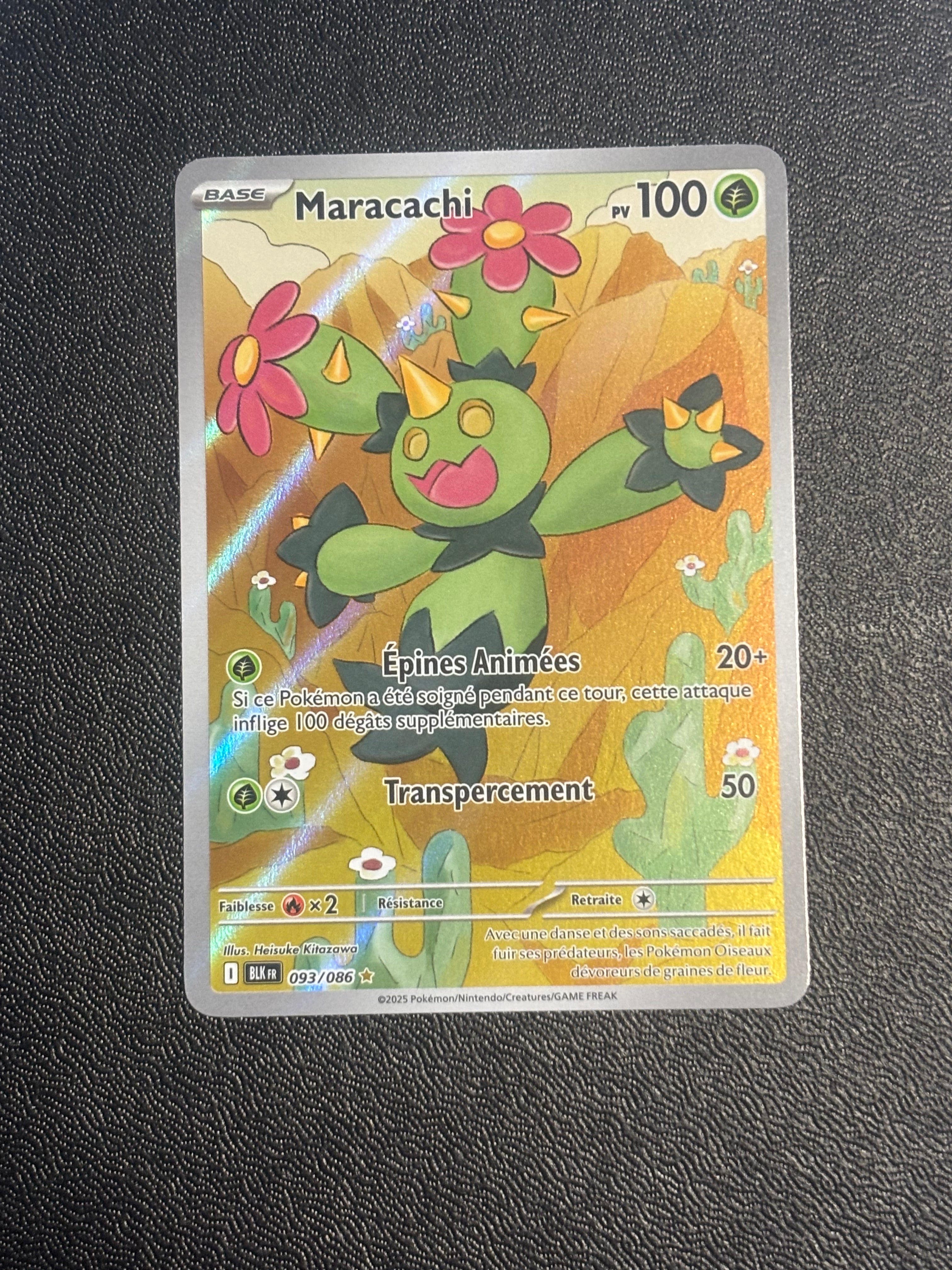 Maractus - BLK 093 - FR