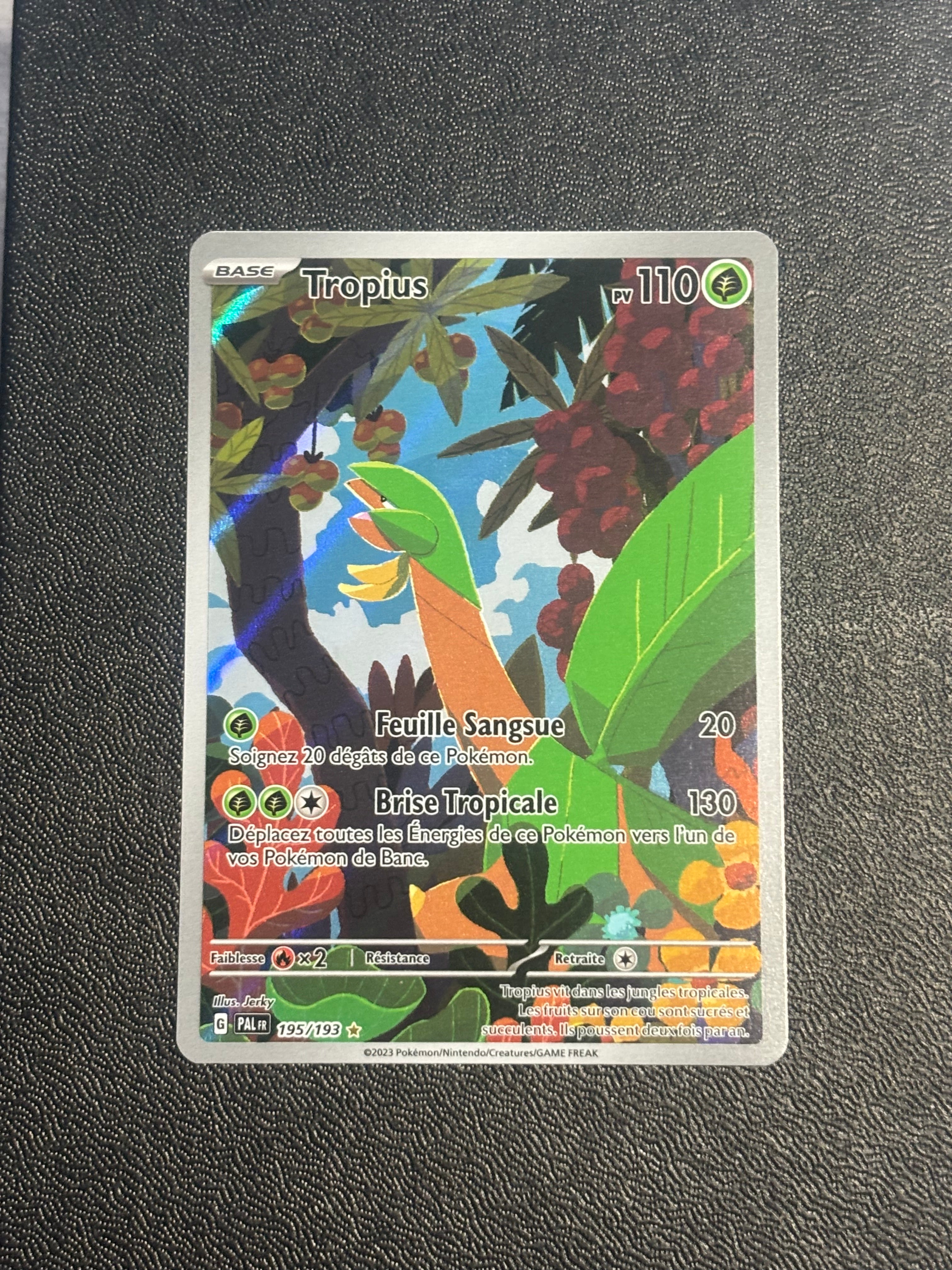 Tropius - PAL 195 - FR