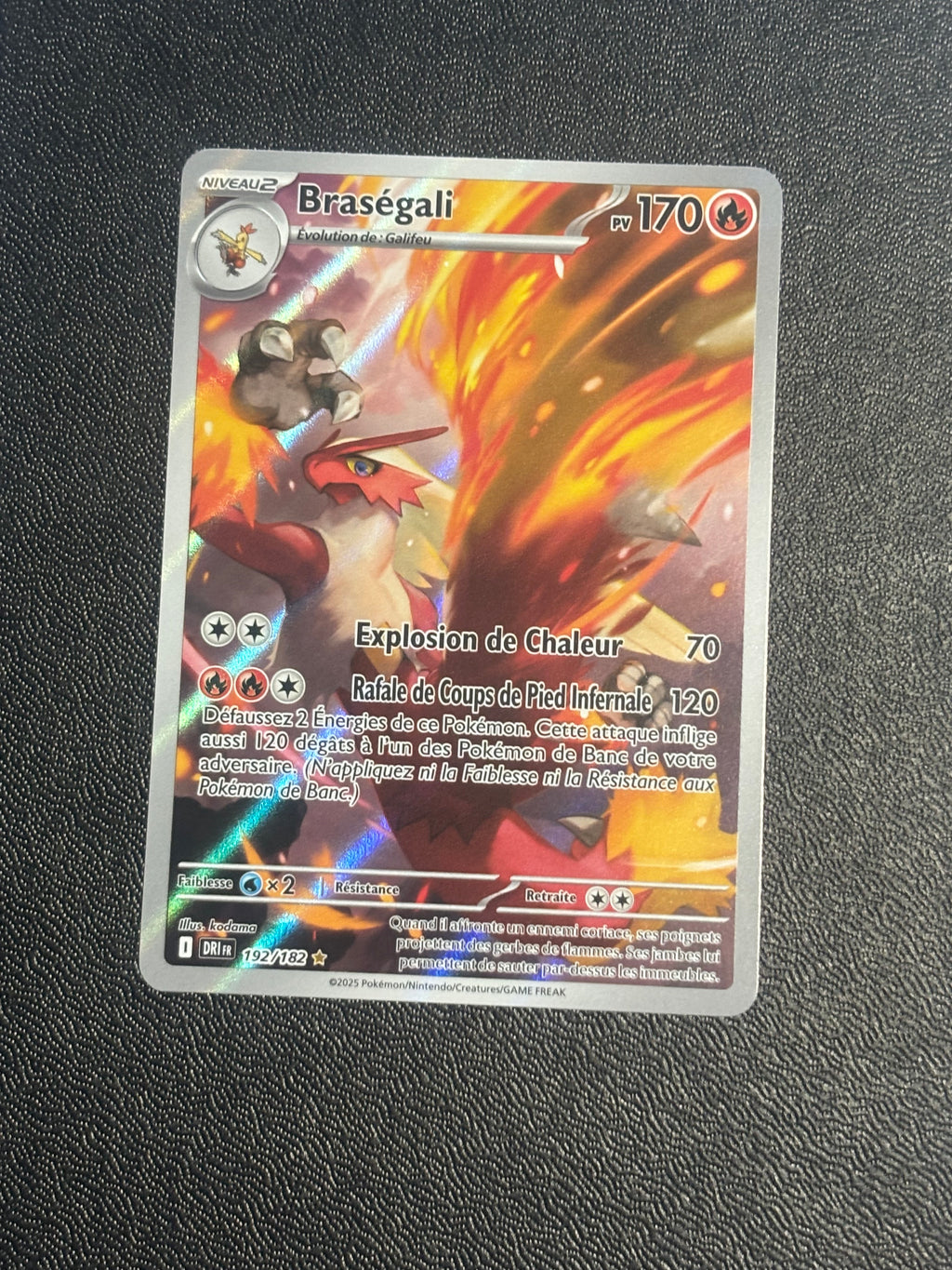 Blaziken - DRI 192 - FR