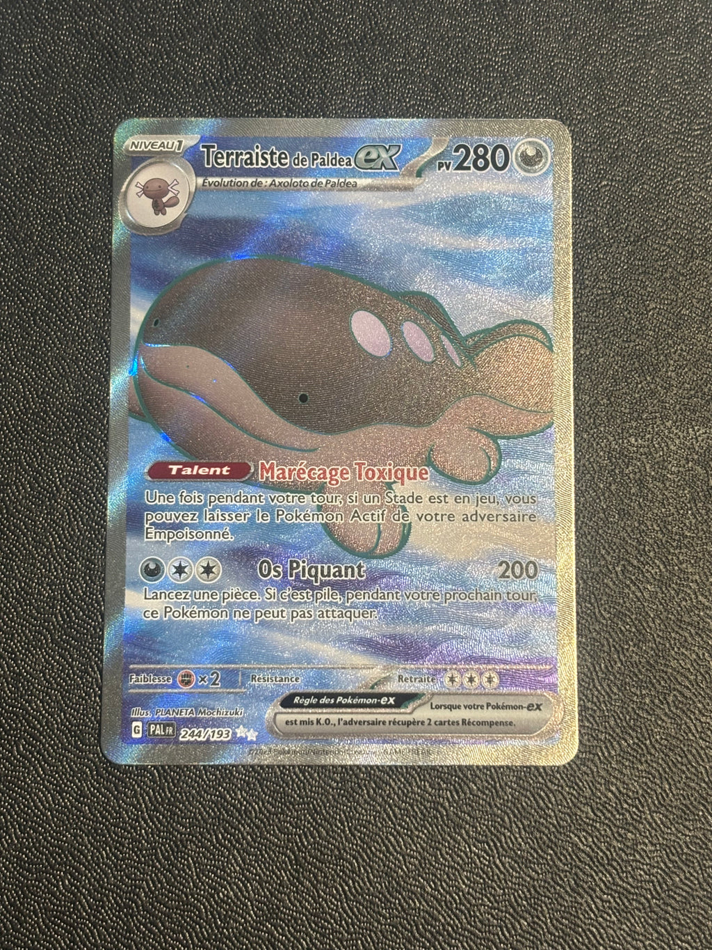 Paldean Clodsire ex - PAL 244 - FR