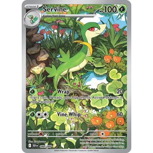 Lianaja - BLK 088 - FR