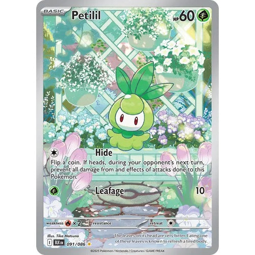 Petilil - BLK 091 - EN
