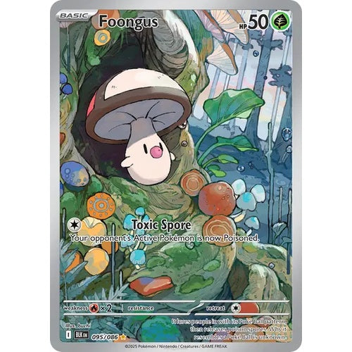 Foongus - BLK 095 - EN