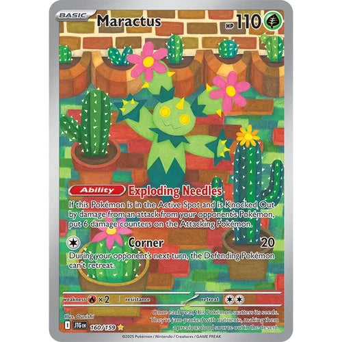 Maracachi - JTG 160 - FR